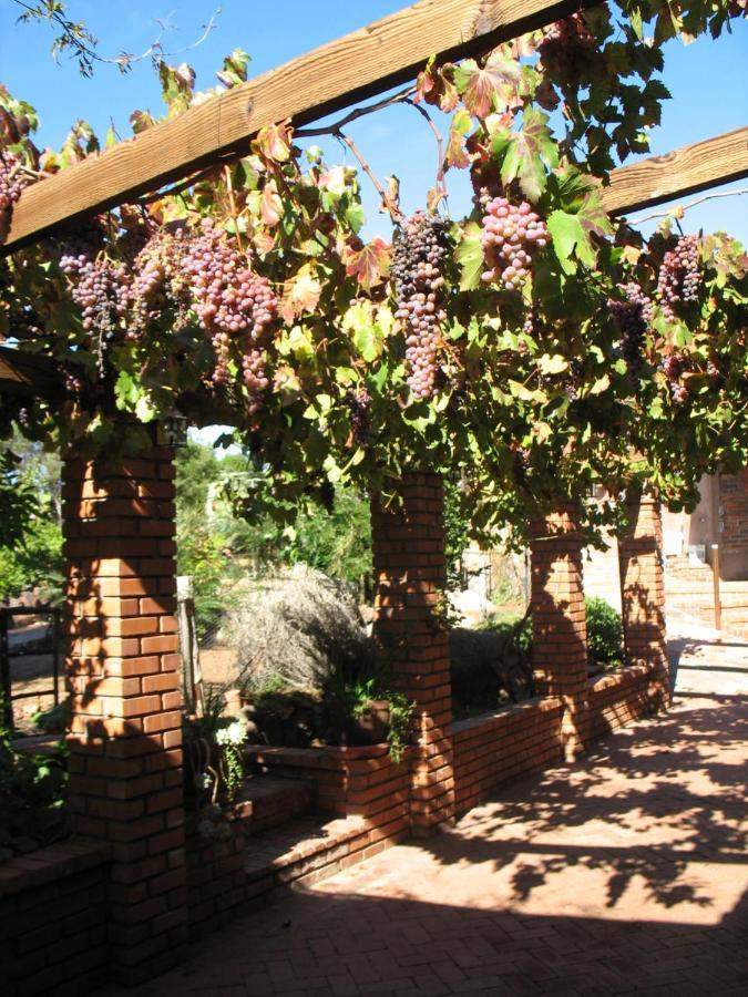 Bed and Breakfast Quinta Maria En La Ruta Del Vino Валье-де-Гуадалупе Экстерьер фото