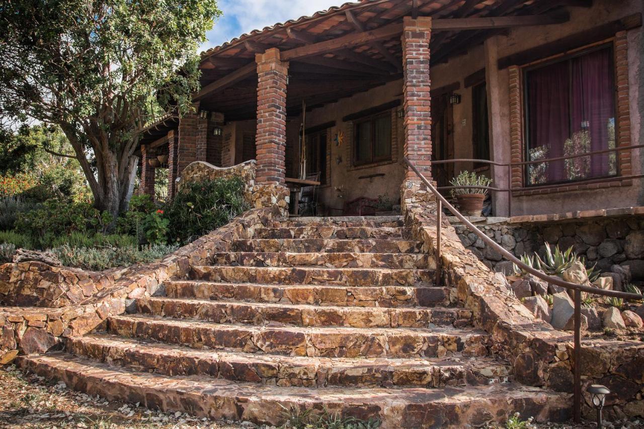 Bed and Breakfast Quinta Maria En La Ruta Del Vino Валье-де-Гуадалупе Экстерьер фото
