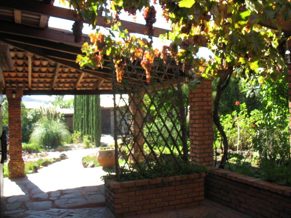 Bed and Breakfast Quinta Maria En La Ruta Del Vino Валье-де-Гуадалупе Экстерьер фото